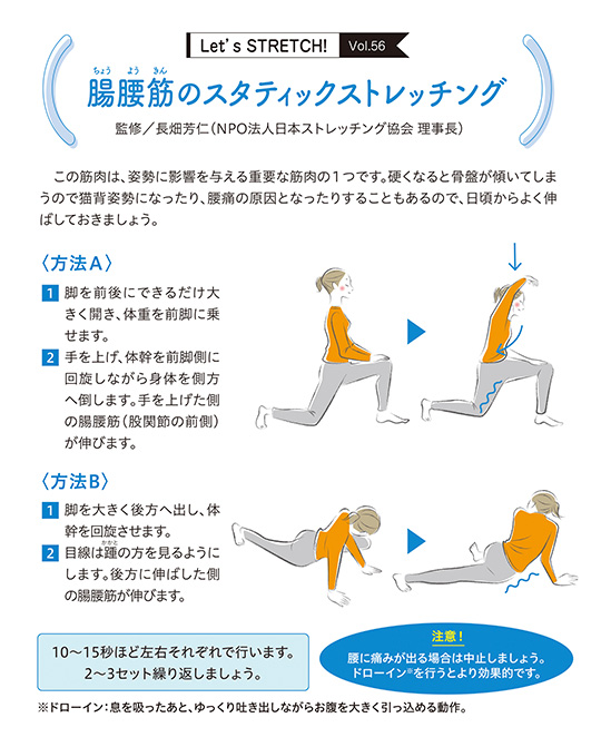 この筋肉は、姿勢に影響を与える重要な筋肉の1つです。硬くなると骨盤が傾いてしま うので猫背姿勢になったり、腰痛の原因となったりすることもあるので、日頃からよく伸ばしておきましょう。