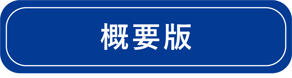 概要版